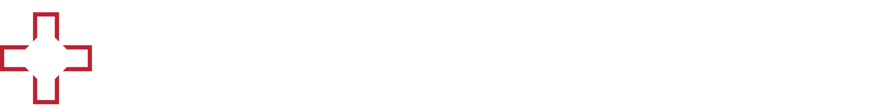 Logo Interieursuisse Businesspartner